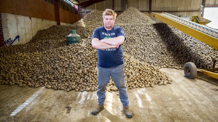 weight-loss-drugs-crush-food-demand-as-farmers-face-dumping-mountains-of-potatoes