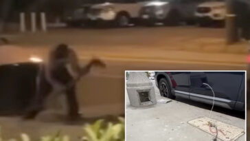 copper-crooks-gut-internet,-kill-street-lights-in-van-nuys-heist