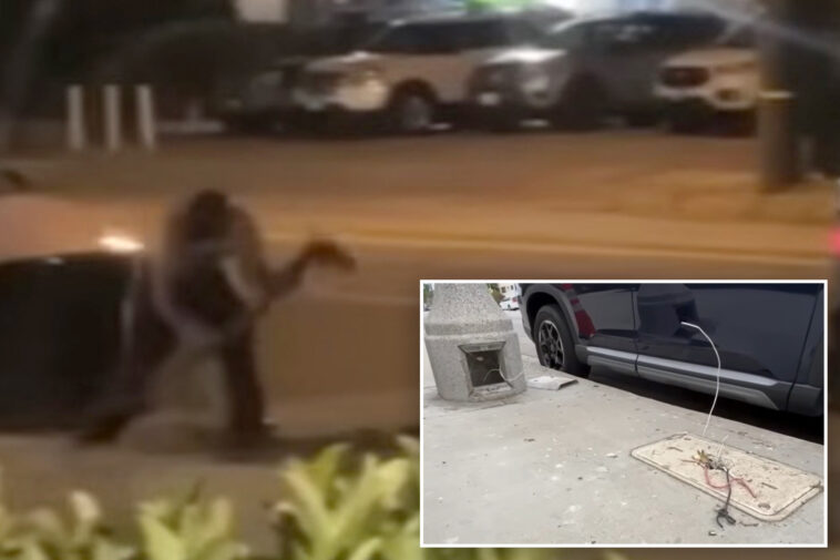 copper-crooks-gut-internet,-kill-street-lights-in-van-nuys-heist