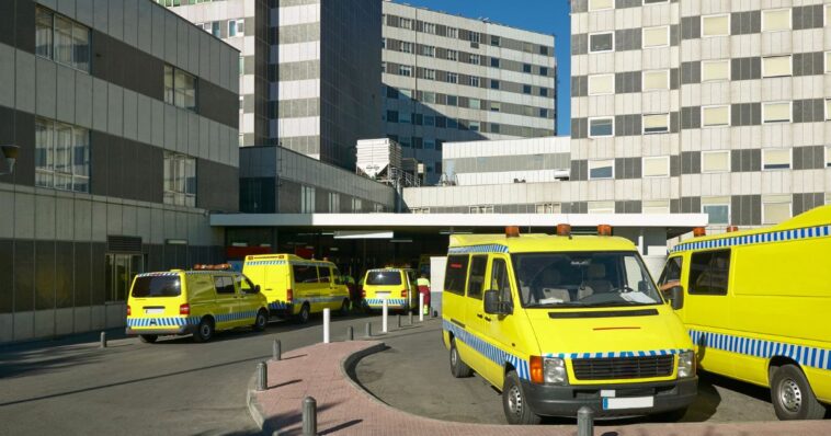 european-government-euthanizes-25-year-old-mentally-ill-rape-victim-despite-her-father’s-pleas