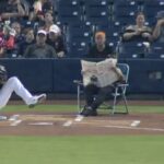 cb-bucknor-calls-entire-game-without-once-looking-up-from-his-newspaper