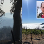 napa-valley-winery-destroyed-by-wildfire-is-snapped-up-by-new-power-player