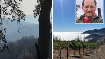napa-valley-winery-destroyed-by-wildfire-is-snapped-up-by-new-power-player