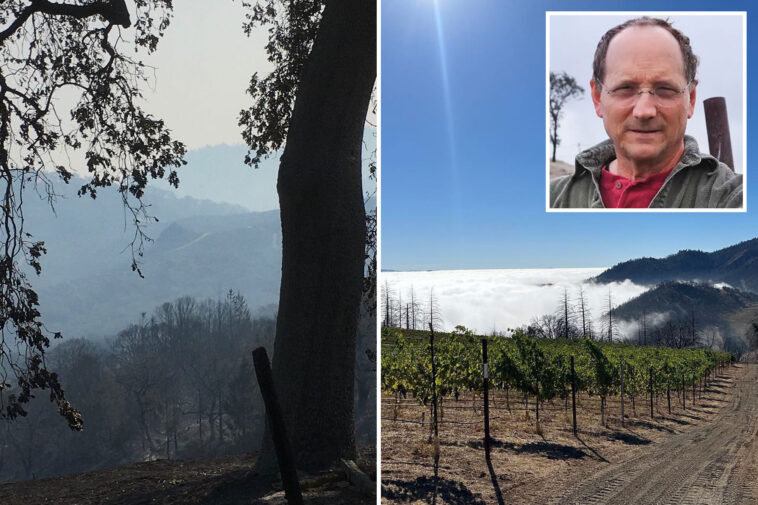 napa-valley-winery-destroyed-by-wildfire-is-snapped-up-by-new-power-player