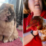 urgent-warning-issued-over-popular-easter-trend:-‘reality-hits-home,-millions-die’