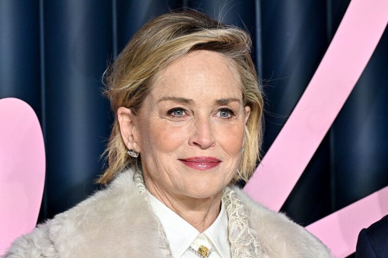 sharon-stone-became-a-sex-symbol-overnight-now-she-doesn’t-linger.