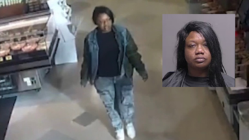 horror:-woman-with-extensive-criminal-background-finally-caught-two-weeks-after-stabbing-pregnant-woman-in-charlotte,-nc-grocery-store-parking-lot