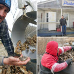 winter’s-deep-freeze-sank-long-island’s-massive-oyster-industry,-costing-farmers-millions:-‘worst-of-the-century’