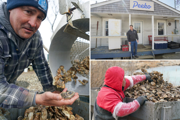 winter’s-deep-freeze-sank-long-island’s-massive-oyster-industry,-costing-farmers-millions:-‘worst-of-the-century’