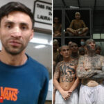machete-wielding-ms-13-executioner-known-as-‘the-witch’-captured-by-ice-in-san-diego