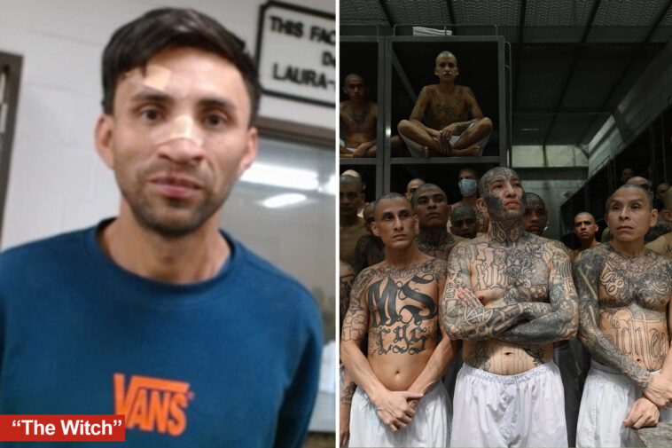 machete-wielding-ms-13-executioner-known-as-‘the-witch’-captured-by-ice-in-san-diego