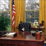 trump-calls-for-congress-to-get-reconciliation-bill-funding-ice,-cbp-to-his-desk-by-june-1