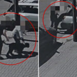 heartless-dognappers-caught-on-camera-stealing-labradoodles-coco-chanel-and-taco-from-socal-car