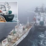 activist’s-group-accused-of-‘terrorist-attack’-in-collision-with-antarctic-krill-trawler
