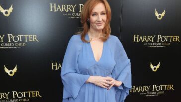 zohran-mamdani-superfan-imagines-a-harry-potter-fascist-fantasyland