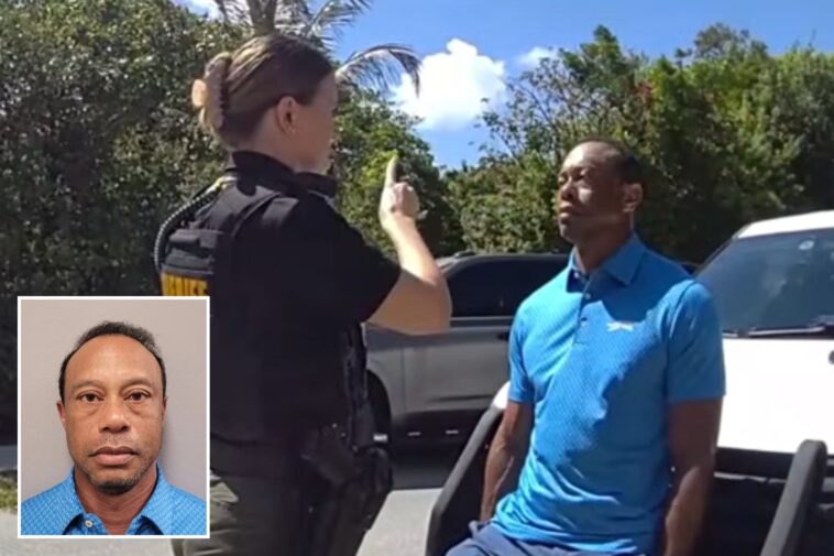 watch-tiger-woods’-sobriety-test-after-he-admits-to-taking-‘a-few-pills’-during-dui-arrest
