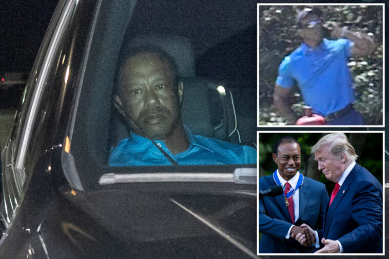 tiger-woods-told-cop-he-called-president-trump-before-dui-arrest,-bodycam-video-reveals