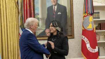 white-house-debunks-fake-news-reports-of-tulsi-gabbard’s-firing