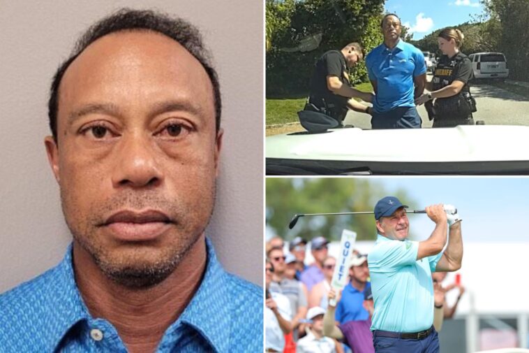tiger-woods-must-show-‘responsibility-and-accountability’-after-dui-arrest:-nick-faldo