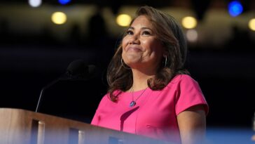 dhs-releases-new-evidence-in-case-of-dem-staffer-accused-of-impersonating-ice-attorney