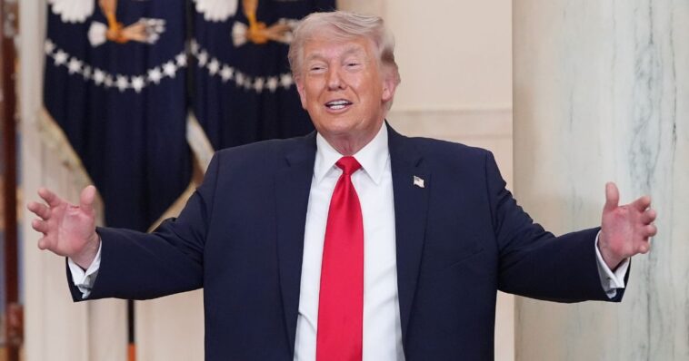 trump-announces-plan-to-help-dhs-workers-in-spite-of-‘radical-left’-shutdown