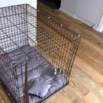 two-arrested-in-nc-after-police-find-13-year-old-kept-in-dog-kennel,-5-other-kids-in-‘filthy’-home