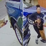 terrifying-moment-wild-coyote-attacks-4-year-old-in-la-driveway