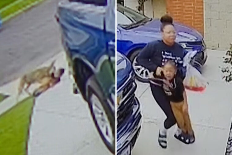 terrifying-moment-wild-coyote-attacks-4-year-old-in-la-driveway