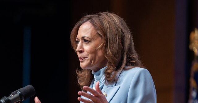 kamala-harris-reacts-to-trump’s-iran-remarks:-‘he-has-done-nothing-to-address-the-needs-of-the-people-of-america’