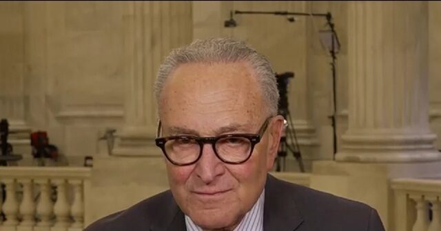 schumer-on-dhs-funding:-‘we-held-it-up’-to-get-changes-to-ice,-cbp,-shutdown’s-gop’s-fault