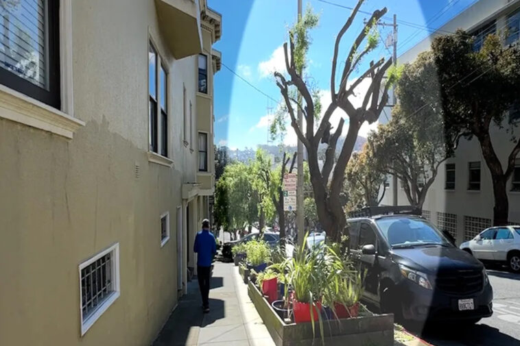 sf-hits-longtime-homeowner-with-insane-$50k-fine-for-trimming-overgrown-trees-touching-power-lines