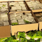 300-pounds-of-cartel-meth-seized-at-texas-border-crossing