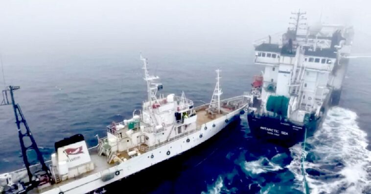 fishing-wars:-environment-activists-ram-their-boat-on-krill-trawler-in-‘deliberate-attack’,-as-conflict-intensifies-in-the-frigid-antarctica-waters-(video)