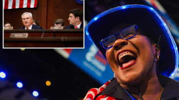 actblue-ceo-may-have-‘intentionally-misled-congress’-about-foreign-donations-to-dems:-gop