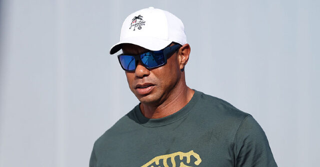 tiger-woods’-private-jet-lands-in-switzerland-after-dui-arrest