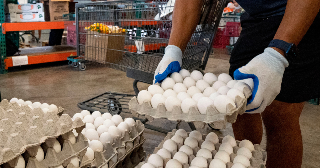 photos-—-us.-farmers-donate-6-million-eggs-during-easter-and-passover-holidays:-‘proud-to-give-back’