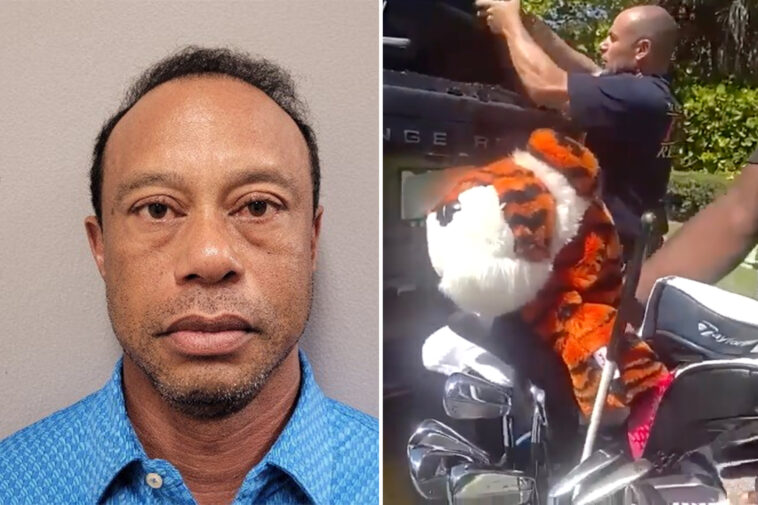 deputies-shattered-tiger-woods’-back-windshield-after-golfer-requested-rescue-of-prized-possession,-bodycam-shows