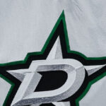 nhl-investigating-fans-for-nazi-salute-at-dallas-stars-game-after-video-goes-viral