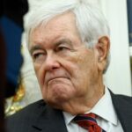 gingrich-corners-senate-gop-on-‘totally-inappropriate’-section-of-dhs-bill