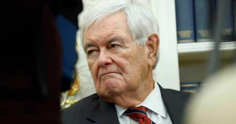 gingrich-corners-senate-gop-on-‘totally-inappropriate’-section-of-dhs-bill