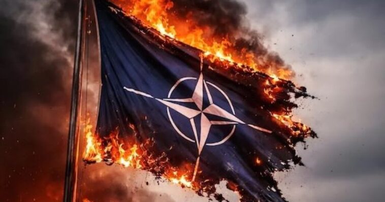 european-weaklings-just-handed-trump-the-perfect-excuse-to-blow-up-nato-–-and-they’ve-only-got-themselves-to-blame!
