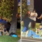 despicable:-leftist-thugs-beat-the-tar-out-of-man-dressed-as-ice-agent-at-“no-kings”-protest-in-hawaii-–-dhs-responds-(video)