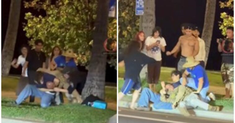 despicable:-leftist-thugs-beat-the-tar-out-of-man-dressed-as-ice-agent-at-“no-kings”-protest-in-hawaii-–-dhs-responds-(video)