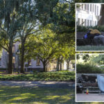 savannah,-georgia-works-to-find-solution-for-homeless-camps,-drug-dens