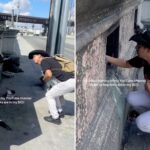 homeless-found-living-inside-bridge-pillars-over-la-river-in-latest-disturbing-discovery