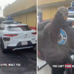 does-not-compute:-waymo’s-stunning-drive-thru-screw-up