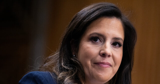 exclusive:-rep.-elise-stefanik-says-new-book-is-‘deep-dive’-into-elite-american-universities