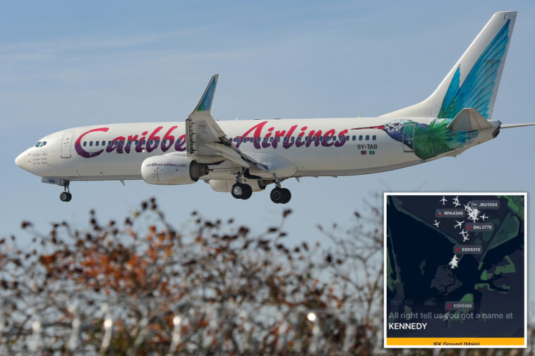 caribbean-airlines-passenger-gives-birth-aboard-ny-bound-flight-—-as-airport-officials-suggest-crafty-name-for-newborn