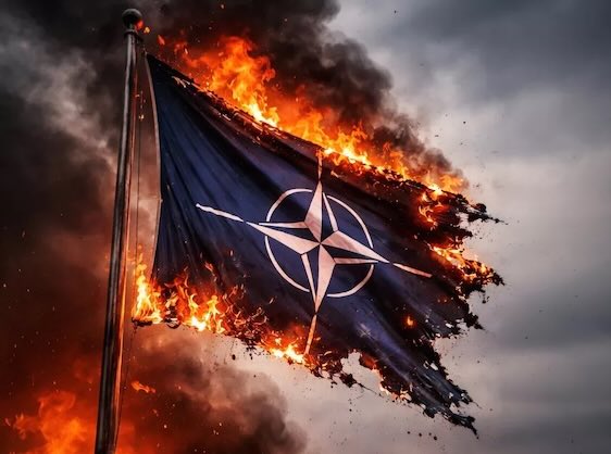 mike-benz:-‘nato-doesn’t-have-tanks-because-they-spent-their-budget-going-after-your-tweets’-(video)