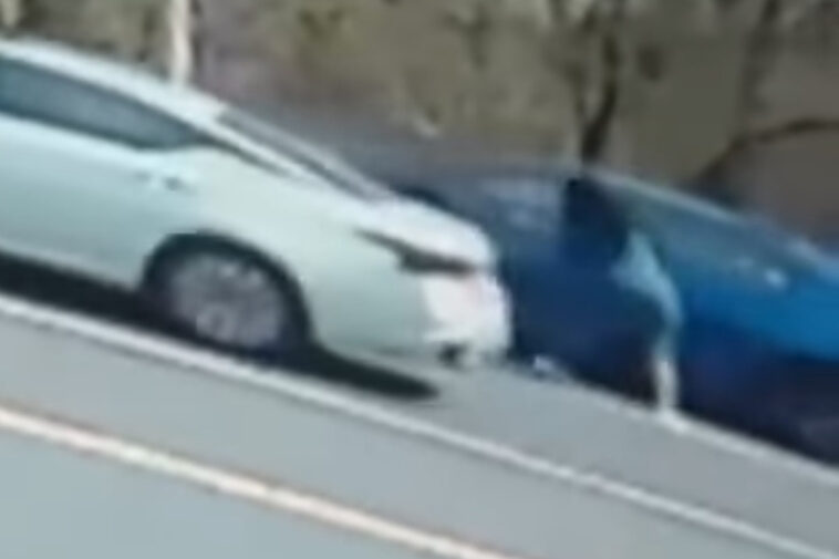 video-shows-crazy-road-rage-cat-fight-that-has-witness-begging-priest-for-‘a-blessing’